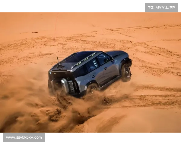沙漠越野车项目
